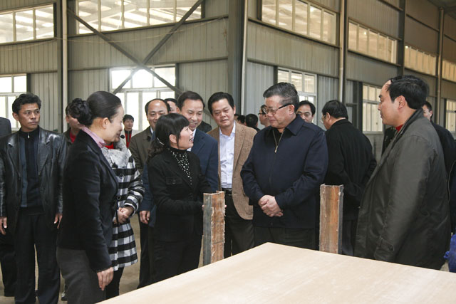 胡彪在炎陵考察