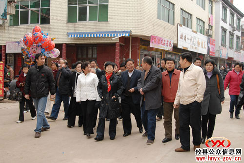 原市委副书记、市计生协会会长赵湘珍到网岭镇视察