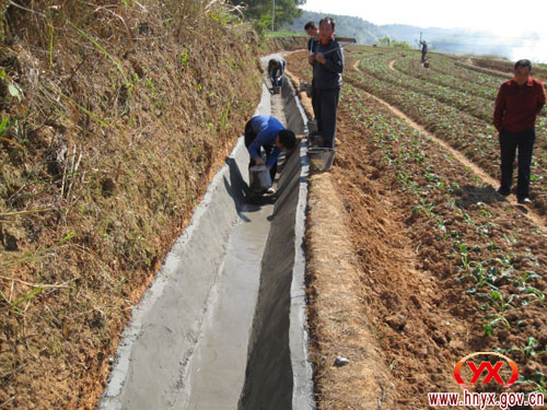 网岭镇“三早”带来了“三冬”生产热潮