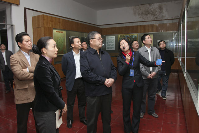 胡彪在炎陵考察