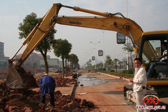 县城中心大道两旁栽树忙