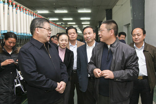 胡彪在炎陵考察