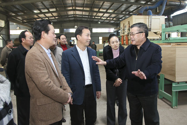 胡彪在炎陵考察