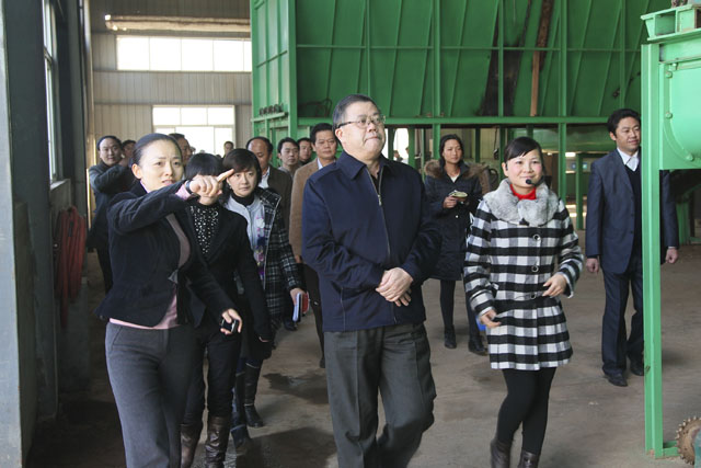 胡彪在炎陵考察