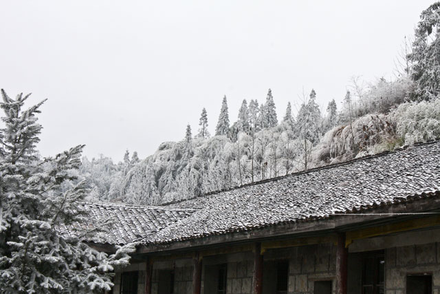 大院农场迎来今冬第一场雪