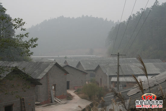 乡镇见闻：湖南坳乡大力发展生猪养殖业