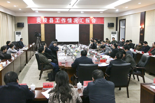 胡彪在炎陵考察