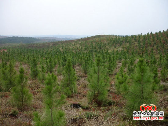 国家林业局专家组来我县视察退耕还林工程实施情况