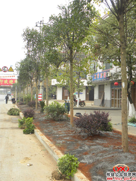 乡镇见闻：大同桥加紧美化镇区国道两旁环境
