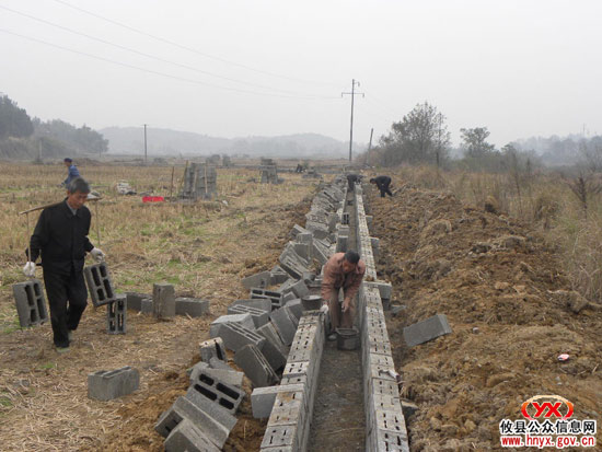 乡镇见闻：酒埠江镇“三冬”生产掀高潮