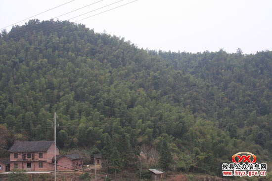 乡镇见闻：柏市依托资源优势培育经济增长点