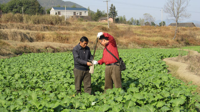 炎陵测土配方施肥项目惠及4万农户