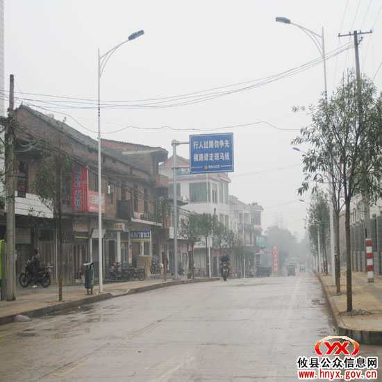 石羊塘镇积极实施“百棵大树进镇区”工程