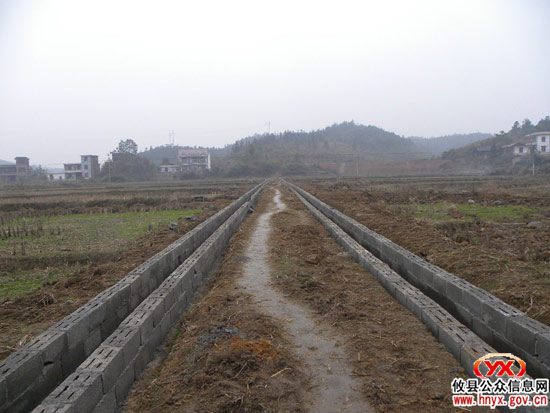 乡镇见闻：酒埠江镇“三冬”生产掀高潮