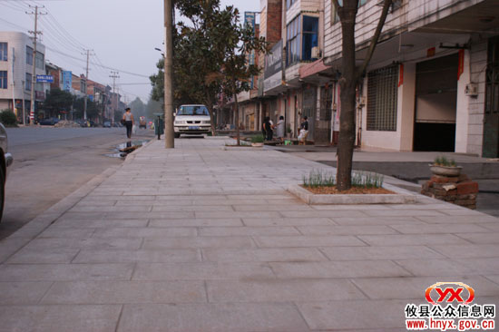 乡镇见闻：网岭镇“三创四化”促城镇提质