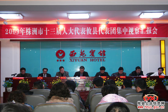 株洲市十三届人大代表攸县代表团开展集中视察活动