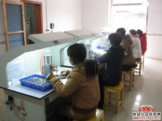 三百兴工：网岭镇筑巢引凤产业发展添活力