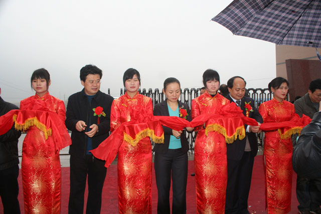 东信集团炎陵纺织项目今天正式竣工投产