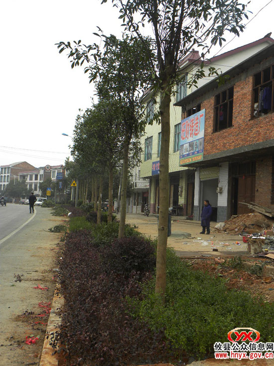 乡镇见闻：大同桥加紧美化镇区国道两旁环境