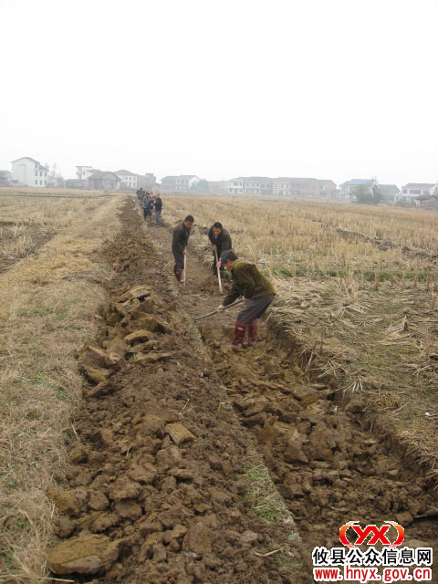乡镇见闻：网岭镇土地整理农民直接受益