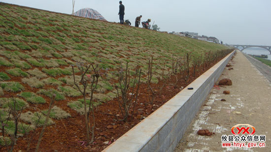 十大重点工程：县城防洪大堤四期工程建设年底完工