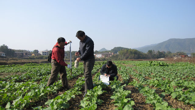 炎陵测土配方施肥项目惠及4万农户