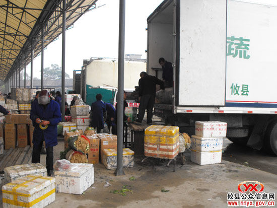 “两节”来临，攸县每日近3万公斤蔬菜销往广东