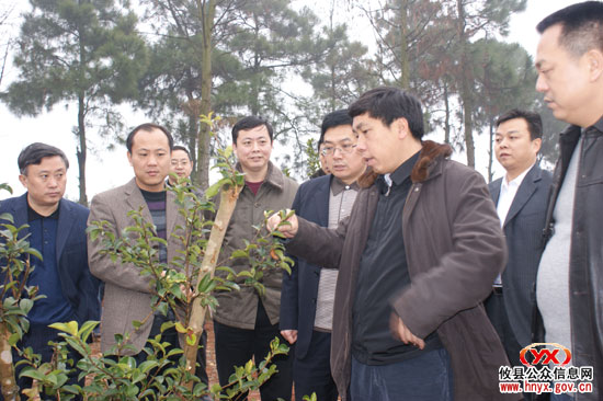 国务院办公厅刘斌一行来攸督查集体林权制度改革工作