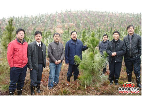 省林业厅造林处龙新毛一行来我县督查春季营造林工作