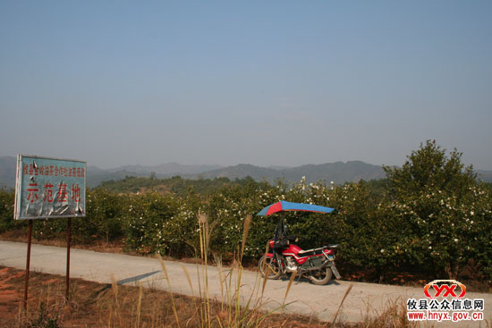 回眸2009年：我县围绕土地流转做活“农”字文章