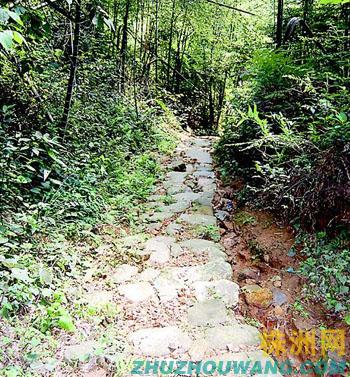 【外埠媒体话攸州】攸县发现明朝攸莲古道 现存约6千米