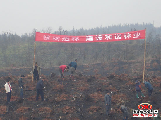 回眸2009：林业发展坚持“开源”与“减害”并驾齐驱