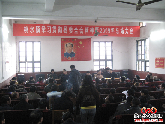 县委“全会”后：桃水镇贯彻全会精神总结年度工作