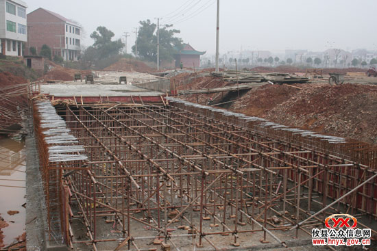 “双休”视听：攸州公园前一派繁忙景象