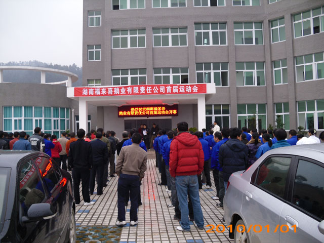 福来喜鹅业有限公司举办首届职工运动会