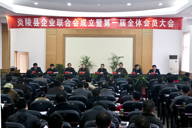 炎陵县成立首届企业联合会