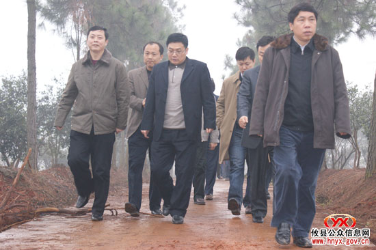 国务院办公厅刘斌一行来攸督查集体林权制度改革工作