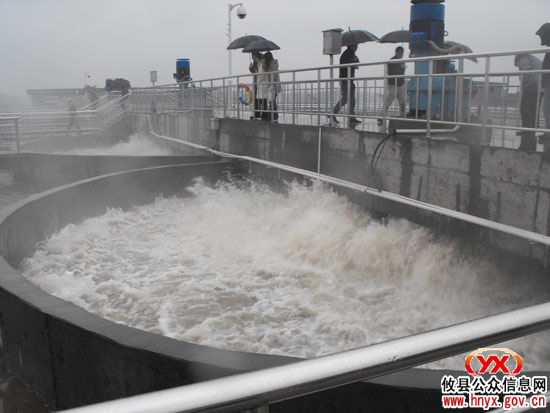省检查组汪伟一行冒雨检查验收我县污水处理项目