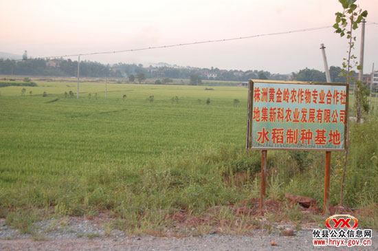 回眸2009年：我县围绕土地流转做活“农”字文章