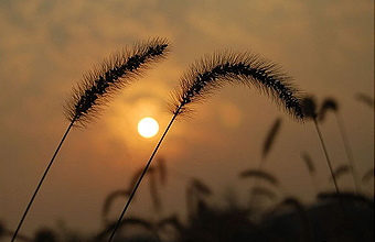 株洲09关键词：云龙示范区（图）