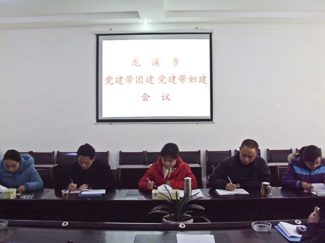 龙溪乡：召开党建带团建、党建带妇建会议