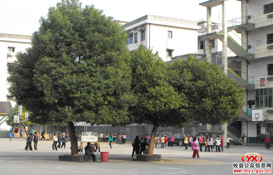 东北街学校重视指导学生的课间体育活动