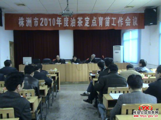 全市油茶定点育苗工作会议在攸县召开