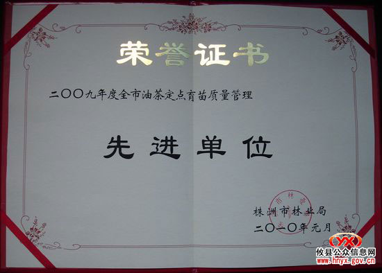 全市油茶定点育苗工作会议在攸县召开