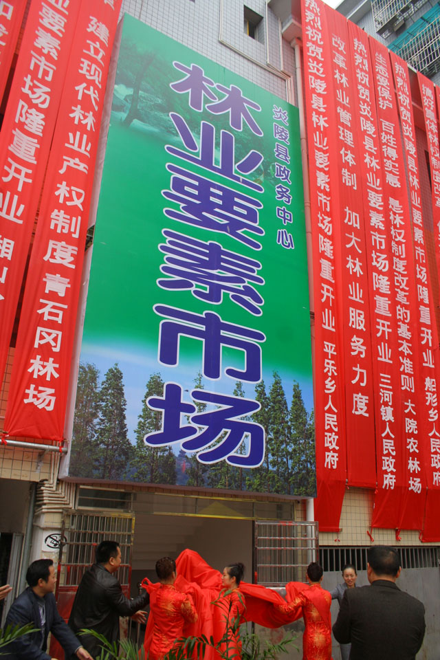 炎陵县林业要素市场揭牌开业