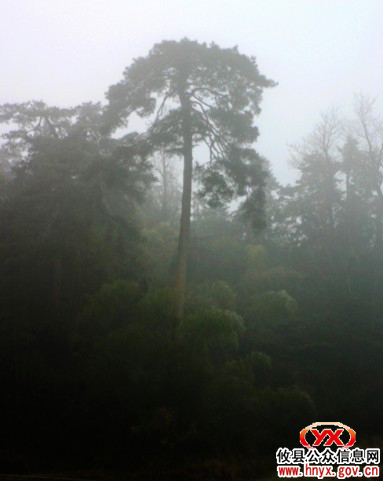 今日，攸县局部地区遇上“立春”后第一场冰冻