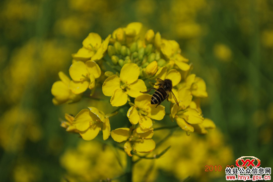 “双休”视听：“驴友”踏青石羊塘