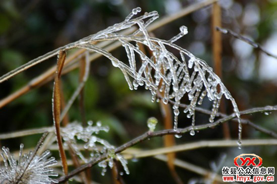 今日，攸县局部地区遇上“立春”后第一场冰冻