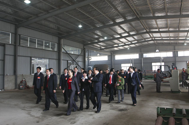 庚寅年炎陵县人大代表、政协委员祭祀炎帝陵典礼