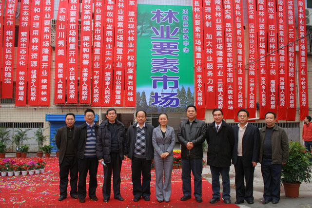 炎陵县林业要素市场揭牌开业